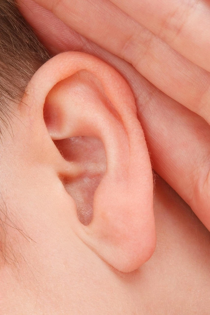 Ring Quiet Plus Ear and Cognitive Support